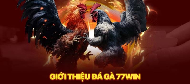 Giới thiệu tổng quan về game Đá Gà 77win - Link vào 77win