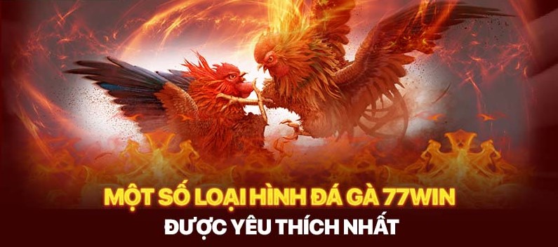 Lý do game đá gà online 77win được nhiều thành viên ưa chuộng?