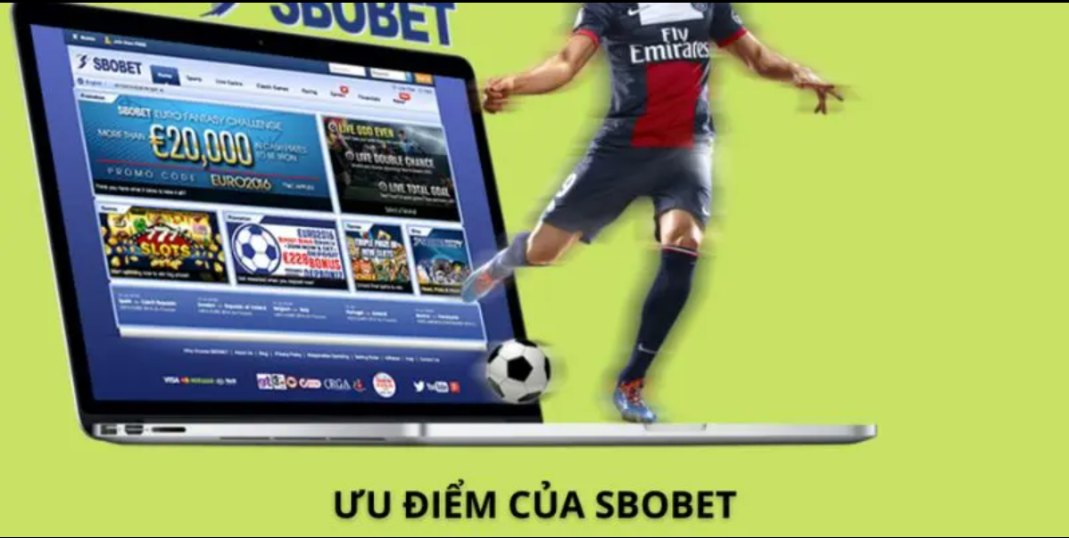 SBOBET nhà cái cá cược 77win thực sự hấp dẫn như vậy!